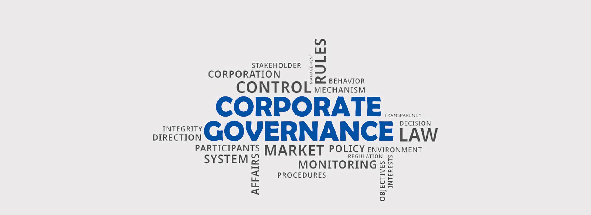 Corporate Governance | Captain Pipes Ltd.